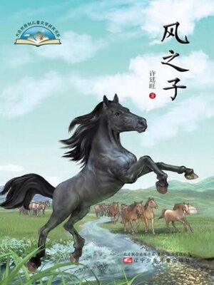 cover image of 风之子